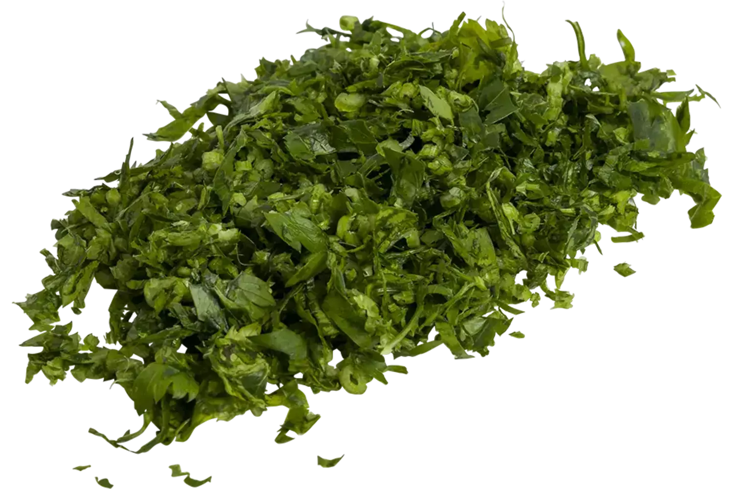 Bladpeterselie extra fijn 100gr stuk 1